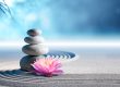 Fuquay-Varina dentist, Dentist in North Carolina